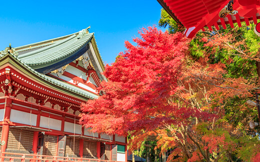 比叡山延曆寺