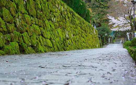 Enryakuji Temple Town