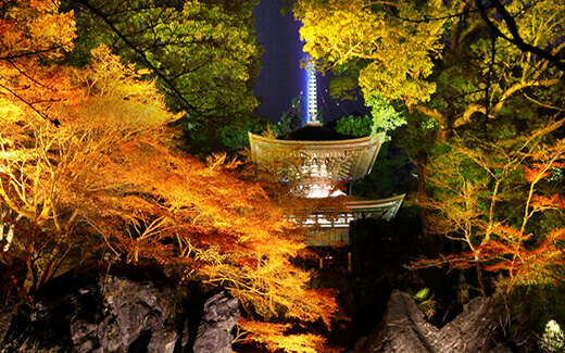 Ishiyama-dera Temple