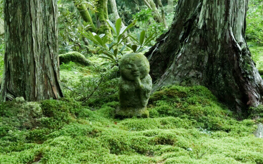 Sanzen-in Temple