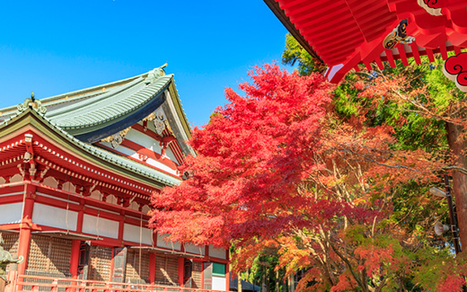 比叡山延暦寺